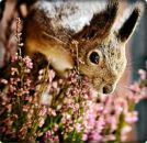 Фотография Шелепов Андрей