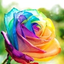 Сергій Клименко фотография #27 (источник - https://vk.com/id148502130)