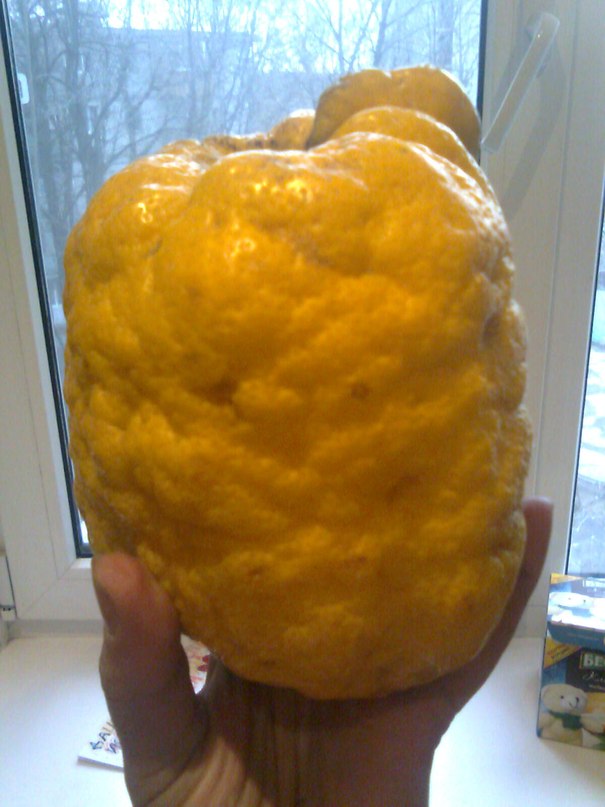 Витя Плаксин фотография #32