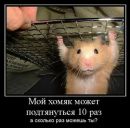 Вова Рибін фотография #17 (источник - https://vk.com/id124780597)