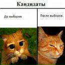 Фотография Шумкиной Алины