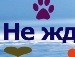 Оксана Пісна фотография #30 (источник - https://vk.com/id50678346)