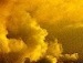 Андрій Величко фотография #48 (источник - https://vk.com/id98885459)