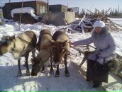 Фотография Ивановой Ольги