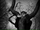 Фотография Тимофеева Александра