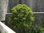 Антон Пащенко фотография #41 (источник - https://vk.com/id3688822)