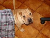 Фотография Усятинской Марии