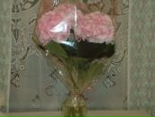 Фотография Медведевой Лидии