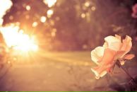 Фотография Мирхайдаров Артур