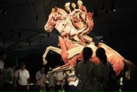 Лев Стахира фотография #13 (источник - https://vk.com/id7438041)