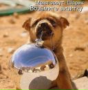 Діана Гуцуляк фотография #14 (источник - https://vk.com/id19097140)