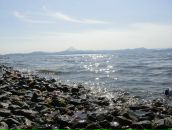 Фотография Иванова Алексея