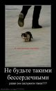 Каріночка Паш фотография #36 (источник - https://vk.com/id73840791)