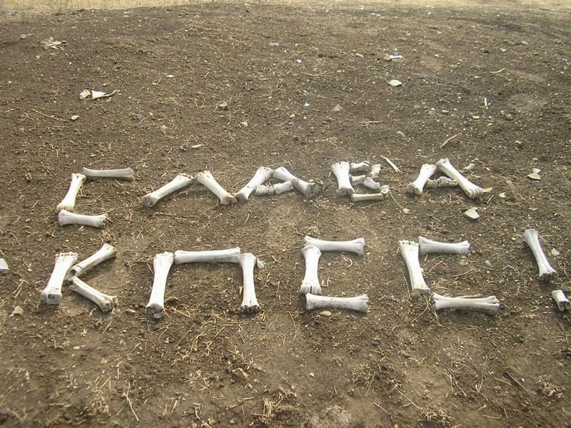 Игорь Стародубцев фото №43