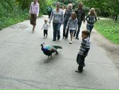 Наталія Лойко фотография #18 (источник - https://vk.com/id97309274)