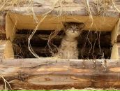 Gg Dd фотография #3 (источник - https://vk.com/id87639910)