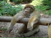 Фотография Назаровой Натальи