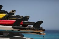 Фотография Гончаров Макс