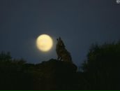 Фотография Алексеевой Наташи