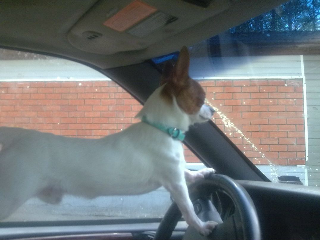 Дмитрий Кожевников фотография #15