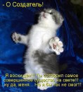 Я... ФоЛныФко=) фотография #3 (источник - https://vk.com/id58452694)