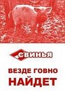 Dimka Яковлев фотография #42 (источник - https://vk.com/id3681384)