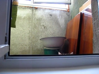 забавные животные 