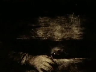 Корова (1989) мультфильм