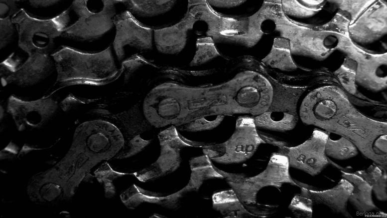 Di Moon фотография #27