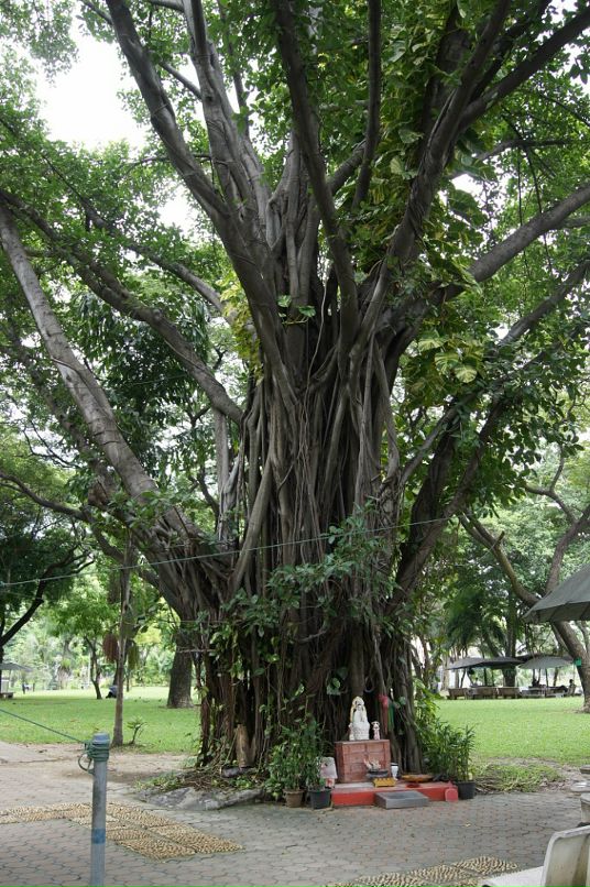 Иван Пешков фотография #35