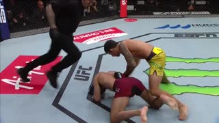 Александр Пантожа нокаутировал Мэтта Шнелла в первом раунде