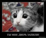 Фотография Доброва Вячеслава