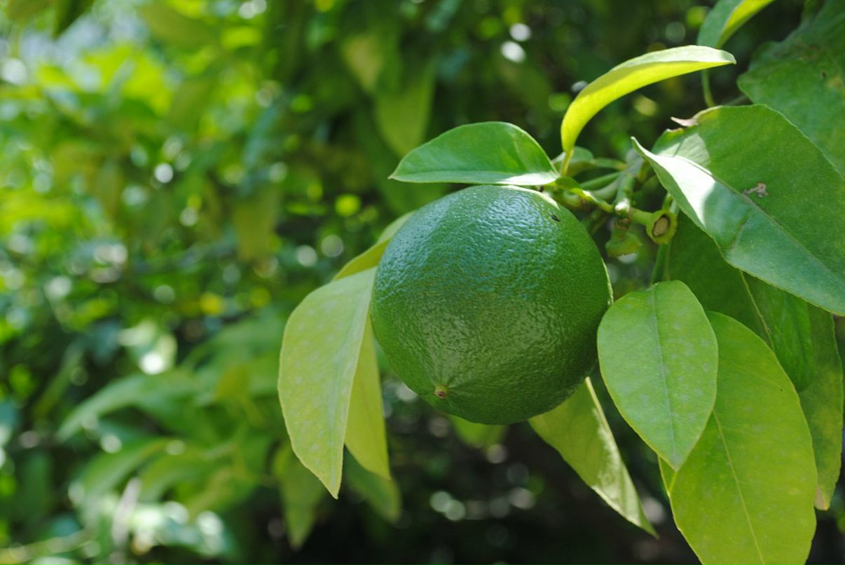 Den Cherkasov фотография #46