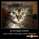 Дарія Шульгіна фотография #30 (источник - https://vk.com/id32848950)