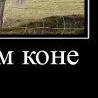 Денис Юрків фотография #25 (источник - https://vk.com/id148028137)