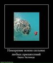 Просто Рамиска=) фотография #37 (источник - https://vk.com/id155554219)