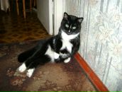 Фотография Савиной Кати