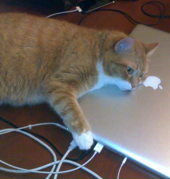 Вера Маневич фото №37