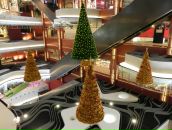 Фотография Т Светланы