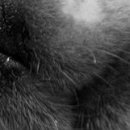 Софія Михальчук фотография #28 (источник - https://vk.com/id132793257)