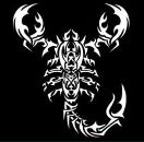 Фотография Кашин Вари