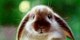 Фотография Новик Даши