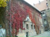 Вадим Арістов фотография #48 (источник - https://vk.com/id6874585)