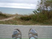 Фотография Тараканов Миша