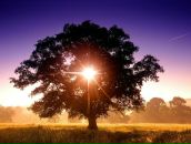 Фотография Шкурина Андрея