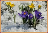 Фотография Юрьевой Ани