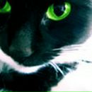 Фотография Сидоркина Ивана