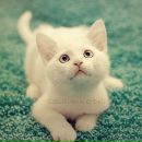 Фотография Юсупов Радик