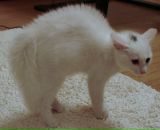 Дмитрий Вдовин фотография #19 (источник - https://vk.com/id636001)