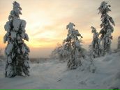 Фотография Баскакова Мария